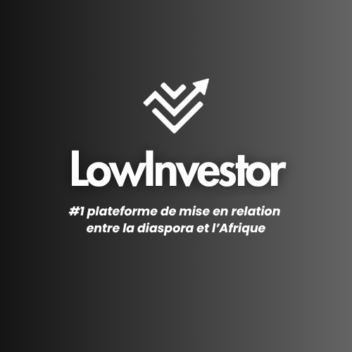 LowInvestor